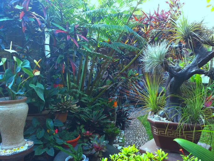 Public Area 3, Puri Asri Bungalow, Gianyar