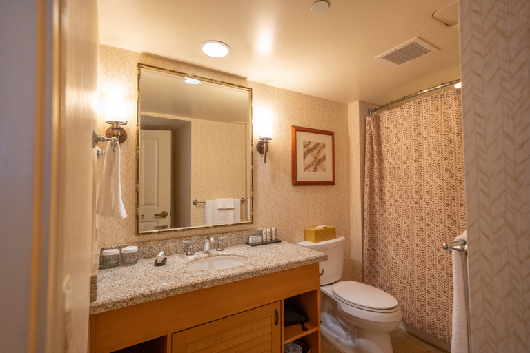 Bathroom, Embassy Suites by Hilton Waikiki Beach Walk, Honolulu