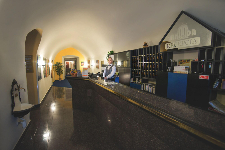Public Area, Arkada Hotel, Levoca