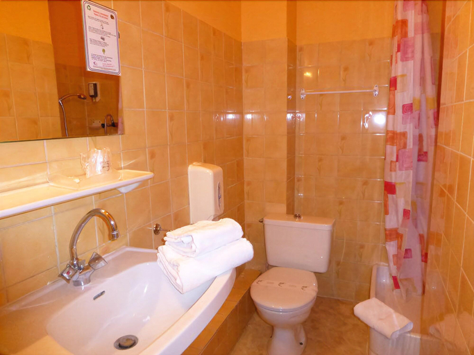 Bathroom 4, Hôtel Trianon, Allier