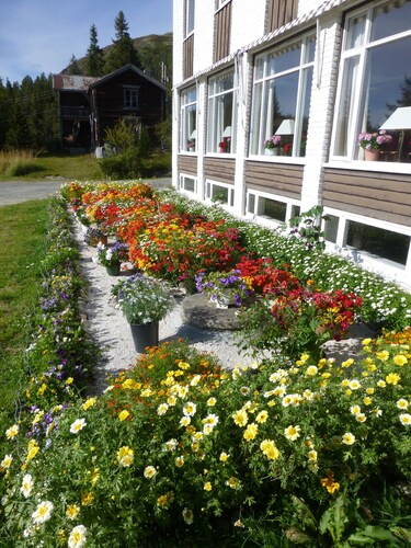 Tronsvangen Seter, Alvdal