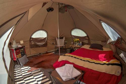 Arizona Luxury Expeditions - Grand Canyon, Coconino