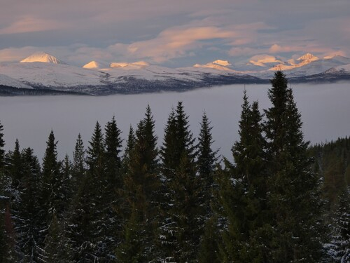 Tronsvangen Seter, Alvdal
