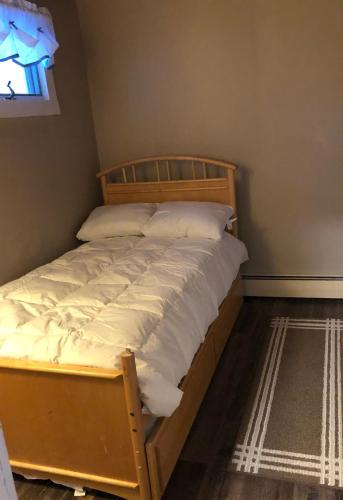 Lakehouse/Ski Lodge, Lackawanna