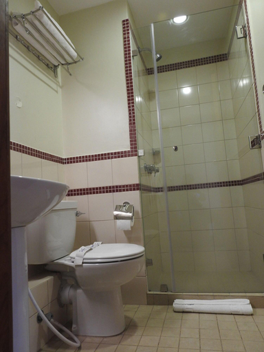 Bathroom 5, Venus Premier Hotel, Arusha Urban
