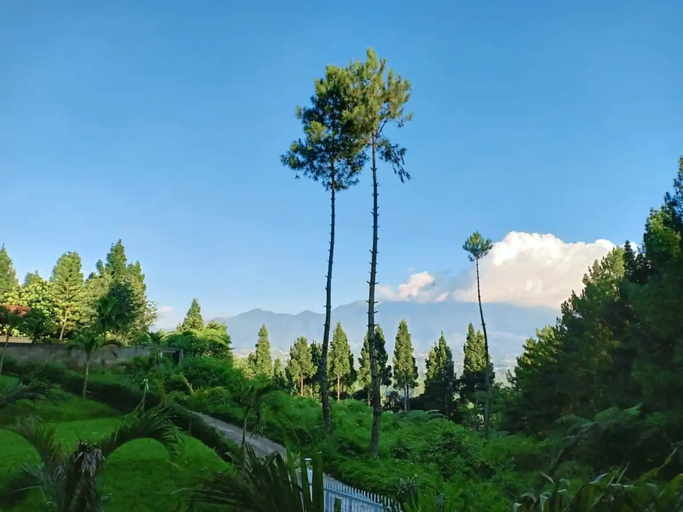 Villa Ry Puncak 4BR with Private Pool - Others