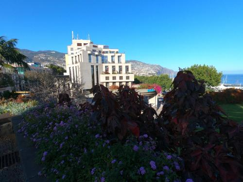 Marina Club Apartment III, Funchal