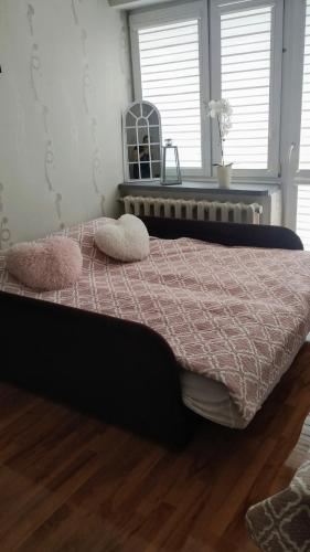 3, Hotelik Malutki, Siedlce City