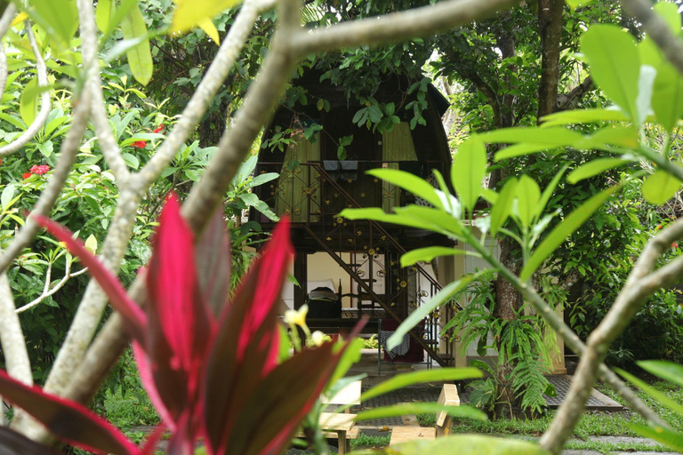 Public Area 2, Timbis Homestay Bali, Badung