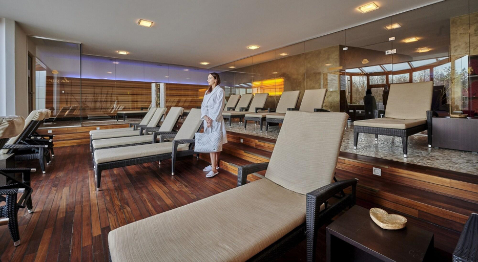 Public Area 4, Der Birkenhof - Spa & Genuss Resort, Schwandorf