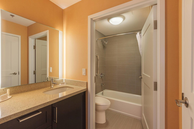 Bathroom 4, Towneplace Suites By Marriott Belleville, Hastings