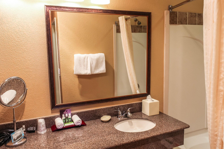 Bathroom 4, Best Western Lubbock West Inn & Suites, Lubbock