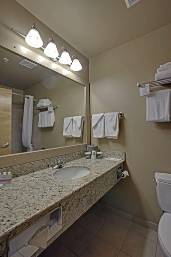 Bathroom 5, Quality Inn & Suites, Division No. 8