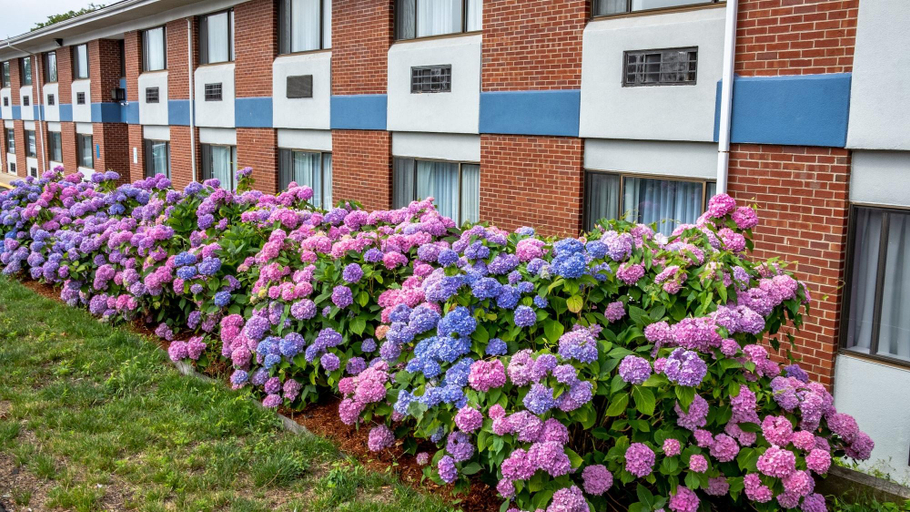 Exterior & Views 2, Hyannis Plaza Hotel, Barnstable