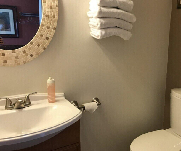 Bathroom, Munising Motel, Alger