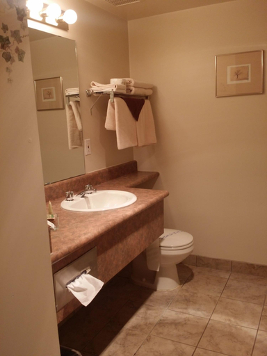 Bathroom 4, Tamarack Motor Inn, Division No. 9