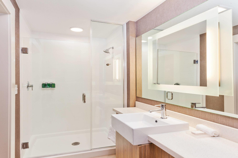 Bathroom 4, Springhill Suites By Marriott Montgomery Prattvill, Elmore
