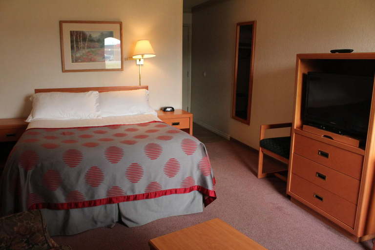 Bedroom 3, Tamarack Motor Inn, Division No. 9