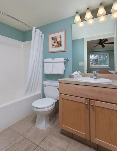 Bathroom 4, Worldmark Birch Bay, Whatcom