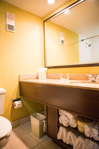 Bathroom 4, Best Western Plus Augusta North Inn & Suites, Richmond