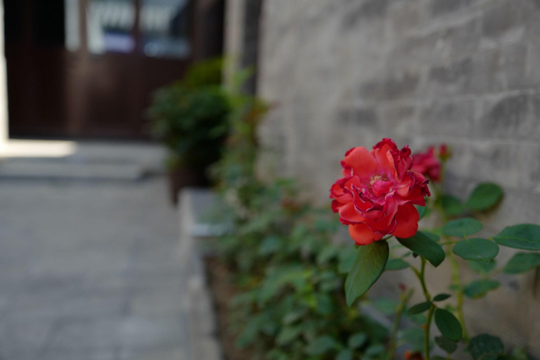 Public Area 3, ManXin Qianmen Courtyard Hotel, Beijing