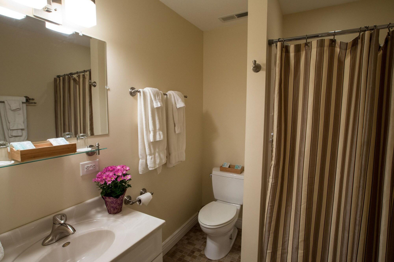 Bathroom 4, Duneland Beach Inn, LaPorte