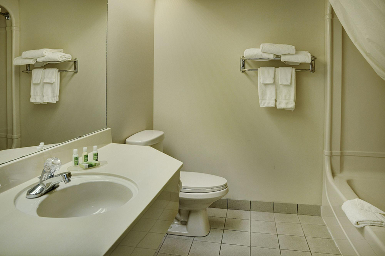 Bathroom 4, Lakeview Inns & Suites - Brandon, Division No. 7
