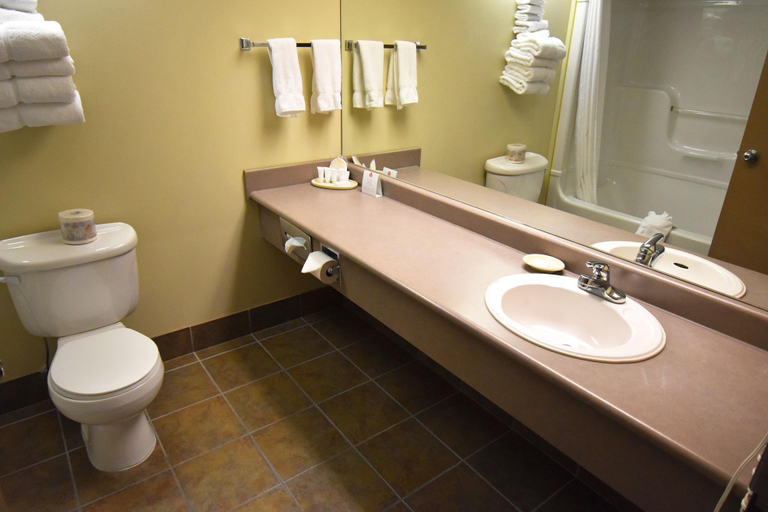 Bathroom 4, Canad Inns Destination Centre Brandon, Division No. 7