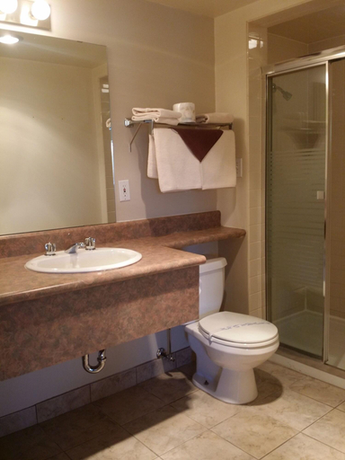 Bathroom 4, Tamarack Motor Inn, Division No. 9