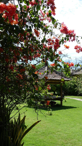 Public Area 2, Sunia Loka, Buleleng