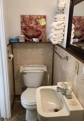 Bathroom 4, Chalet Motel, Custer