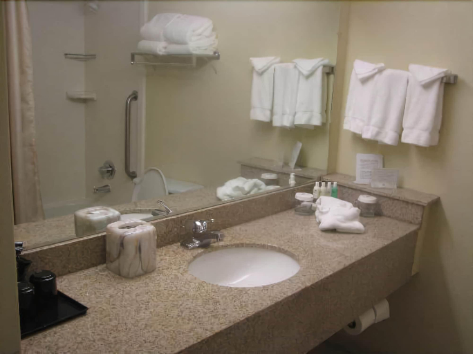Bathroom, Speco Hotels Richmond, Henrico