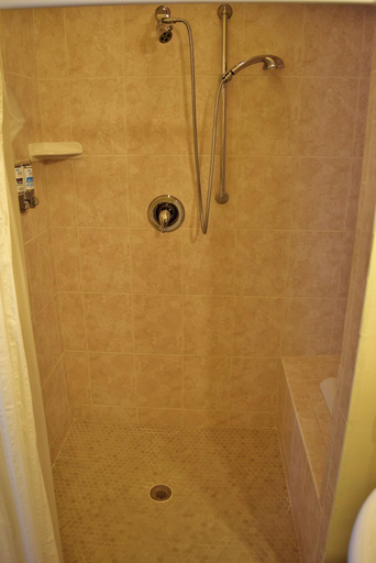 Bathroom 5, Grandview Bed and Breakfast Mount Dora, Lake