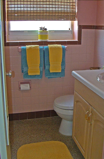 Bathroom 4, The Desoto Inns, Broward