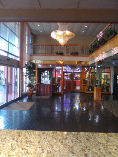 Public Area, Regency Inn & Suites, Caddo