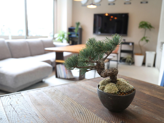 Public Area 3, Guest House Matsu - Hostel, Osaka