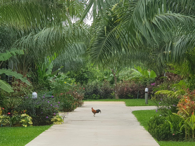 Exterior & Views 2, Palm Pran Resort, Pran Buri
