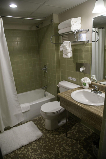 Bathroom 4, The Stables Inn and Suites, Columbiana