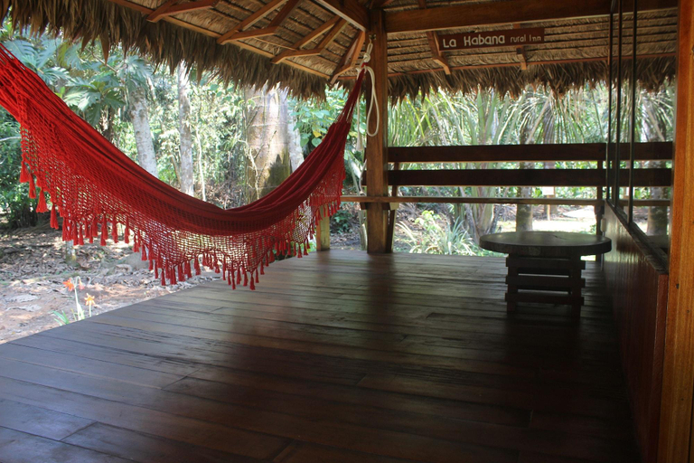 Public Area 3, La Habana Amazon Reserve, Tambopata