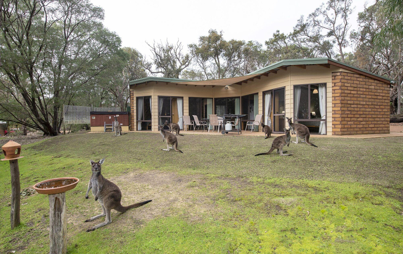 Bedroom 4, Yelverton Brook Conservation Sanctuary, Busselton