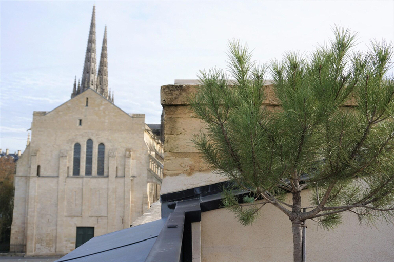 Exterior & Views 2, Hôtel Cardinal, Gironde