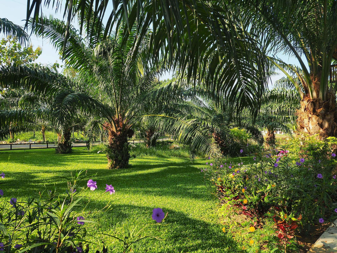 Exterior & Views 2, Palm Pran Resort, Pran Buri