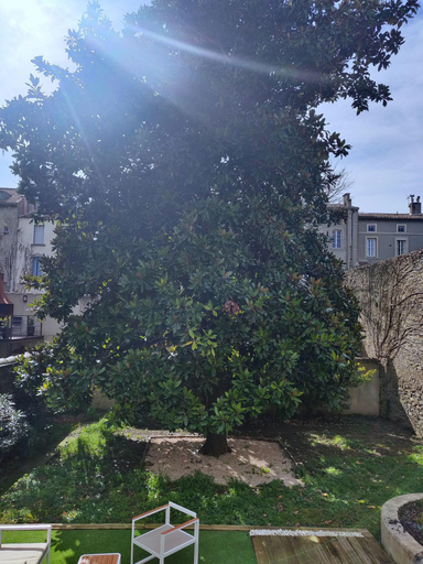 Exterior & Views 4, Chambres d'hotes le Magnolia, Aude