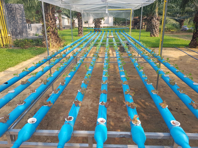 Palm Pran Resort, Pran Buri