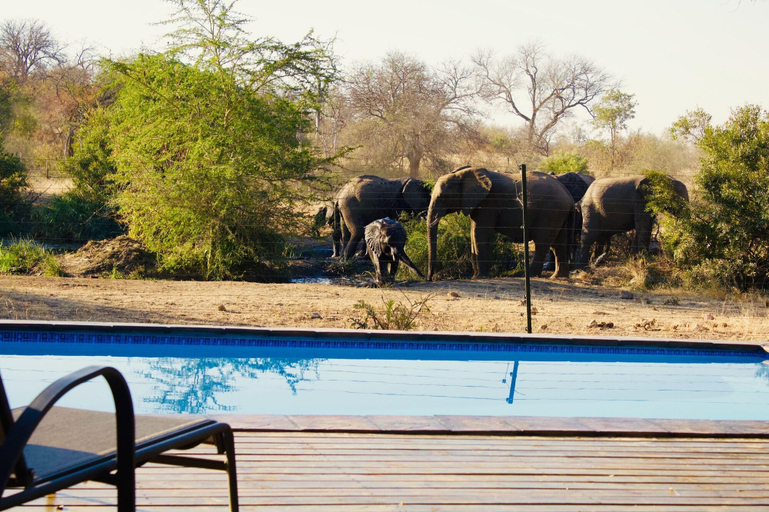 Exterior & Views 1, Masodini Private Game Lodge, Mopani