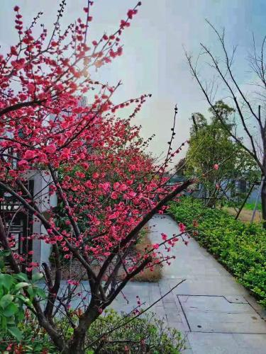 5, Meilan Villa - Lan, Suzhou