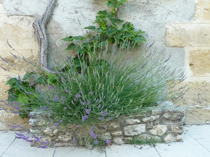 Exterior & Views 2, Le Mas Des Vergers, Bouches-du-Rhône