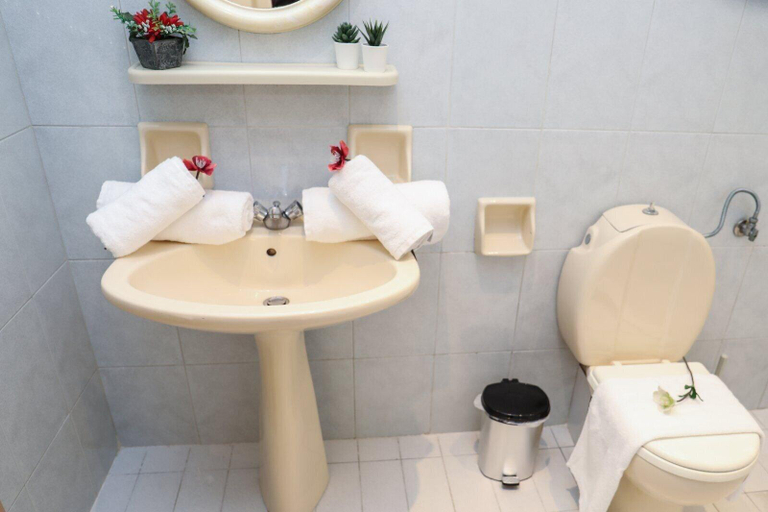 Bathroom 5, Chrissomallis Apartments, Thessaly