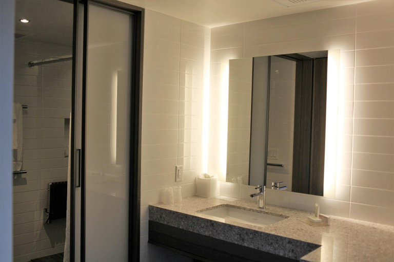 Bathroom 5, Carnegie Hotel, New York