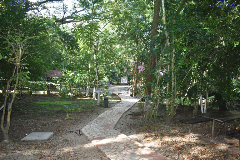 Public Area 2, Kin Balam Cabanas, Palenque